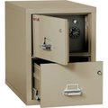 Fire King Fireking Fireproof 2 Drawer Vertical Safe-In-File Legal 20-13/16"Wx31-9/16"Dx27-3/4"H Pewter 2-2131-CPESF